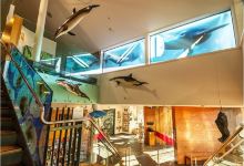 Nelson Provincial Museum景点图片