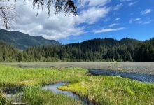 Minnekhada Regional Park景点图片