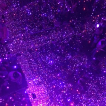 阿尼克什奇艾图片