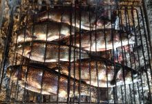Peche a la Truite Sans Permis景点图片