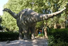Museo de Historia Natural de Concepcion景点图片