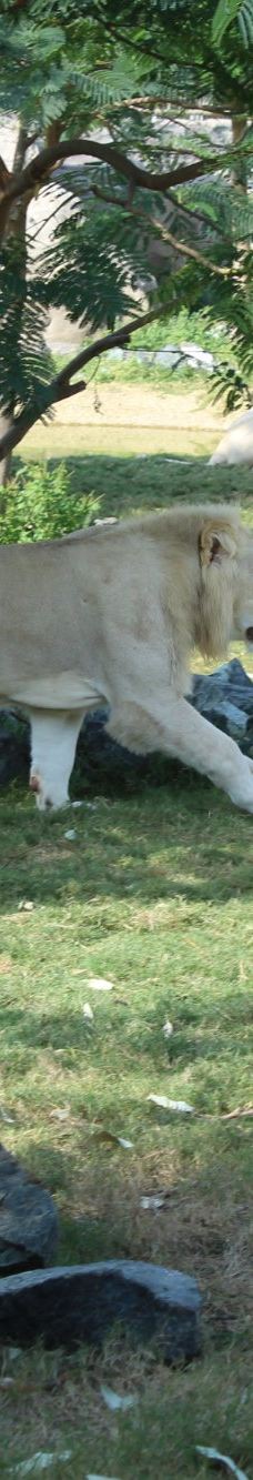 迪拜野生动物园-迪拜