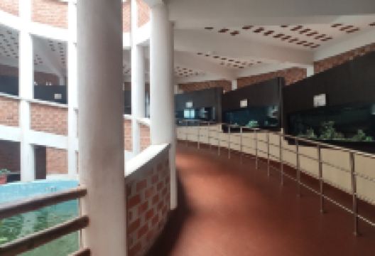 Varkala Aquarium景点图片