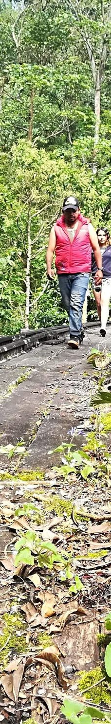 Granja La Cascada-La Frontera