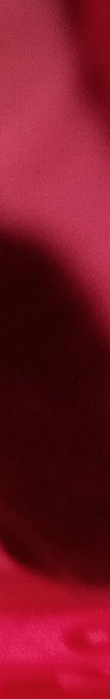 Ruth Rowell Modie Wildlife Park-刘易斯顿