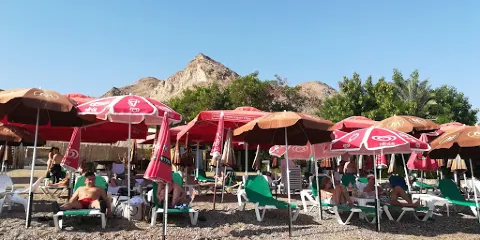 Migdalor Beach