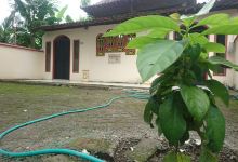 Makom Aulia Syech Imam Muhyiddin景点图片