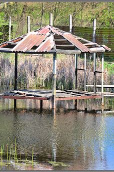 Park-Zhytomyrs'ka city council