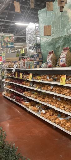 Gamm Vert-拉比谢尔