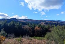 Roc de Peyremaux景点图片