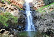 Nahal Orvim Reserve景点图片