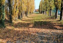 Campo Sportivo di Mordano景点图片