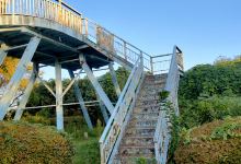 大宮自然公園景点图片