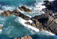 Cabarita Beach Whale Lookout景点图片