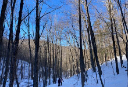 Ashokan High Point Trailhead景点图片