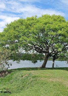 库里提巴诺提科公园-库里提巴