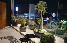 Distrito Porteño餐厅图片