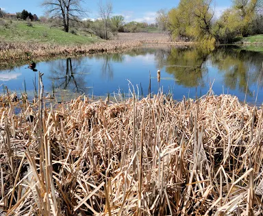 Two Ponds National Wildlife Refuge