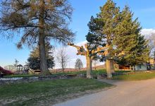 Parc de la Vernettaz景点图片