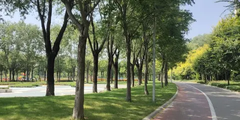汶河公園
