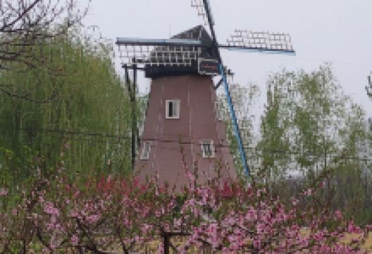 减河湿地风景区-风车景点图片