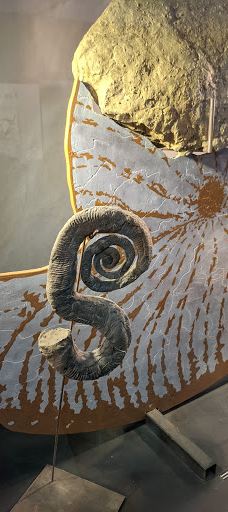 Musee des Dinosaures 'Dinosauria'-埃斯佩拉扎