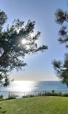 Pines Park-达纳点