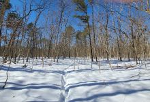 Paumanok Path Trail Head景点图片