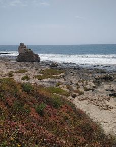 El Hamra-马赫迪亚