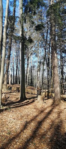 Schloss Lustbühel, Graz-格拉茨