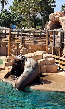 水上乐园-昂蒂布