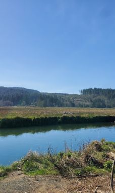 Alder Island Nature Trailhead-林肯县