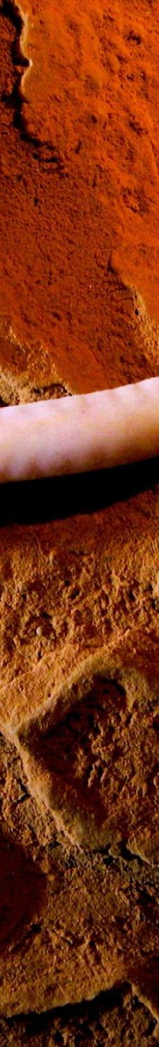 Jama - Grotta Baredine-Gedici