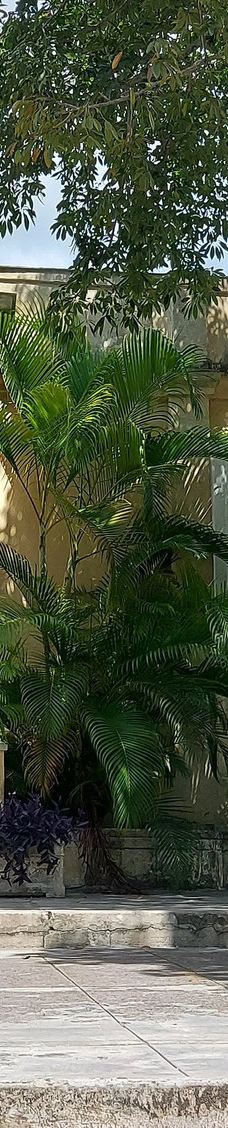 海明威故居-哈瓦那