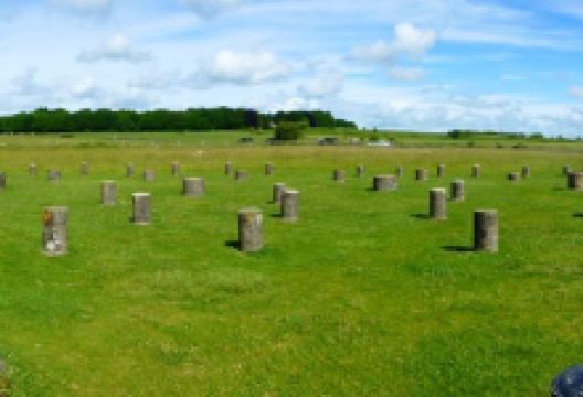 巨木阵景点图片