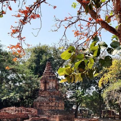 泰国清迈+清莱+金三角公园8日7晚自由行