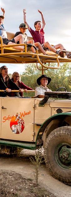 Safari West-圣罗莎