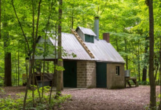 Bailly Homestead and Chellberg Farm景点图片