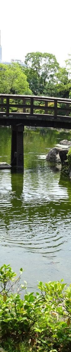 白鸟庭园-名古屋