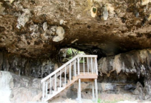 The Bat's Cave景点图片