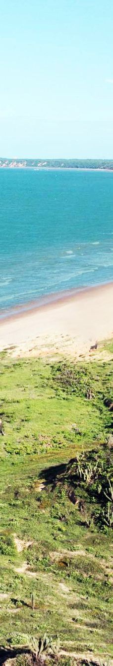 Retirinho Beach-阿拉卡蒂