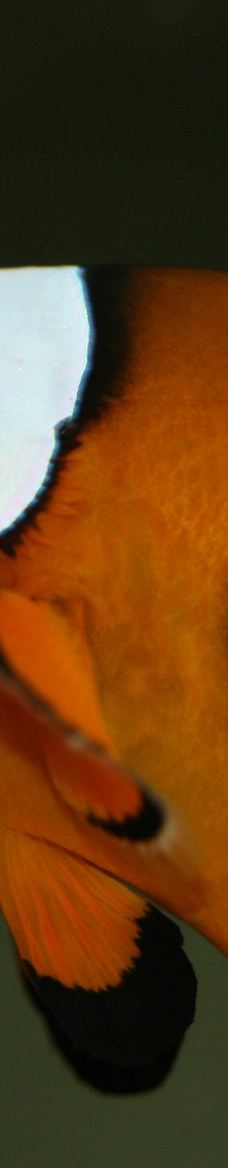 Seaquarium-勒格罗－迪鲁瓦