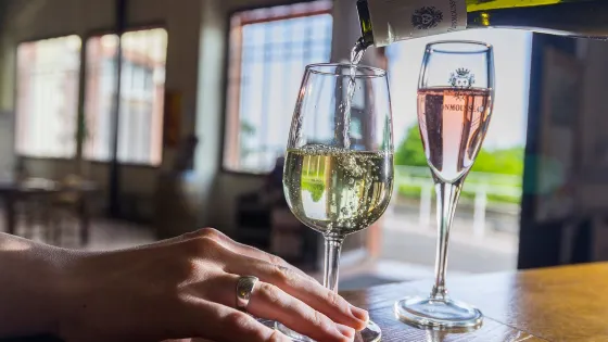 Caves Monmousseau