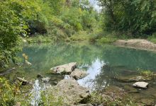 Two Creeks Conservation Area景点图片
