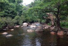 Nang Rong Waterfalls景点图片