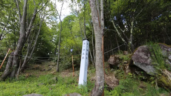 女の神氷水