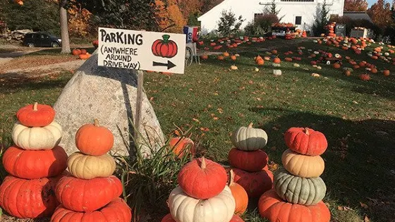 Devon Point Farm