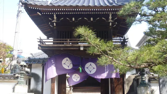 教蓮寺