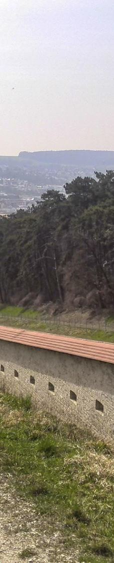 Wilhelmsburg-乌尔姆