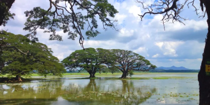 蒂瑟默哈拉默湖
